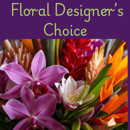 Seasons Designers Choice